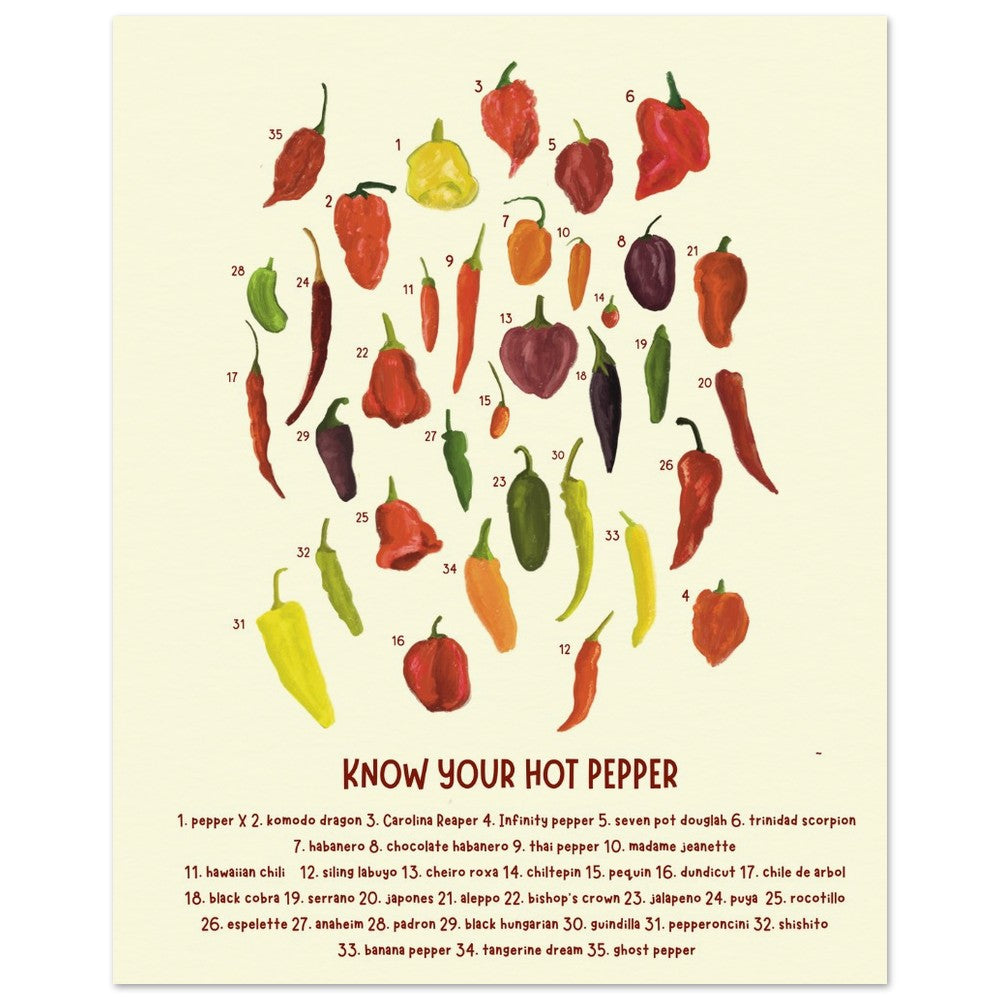 a hot chili pepper chart art print with an assortment of painted chilis are numbered over text that reads "know your hot pepper" with names of the numbered chili peppers