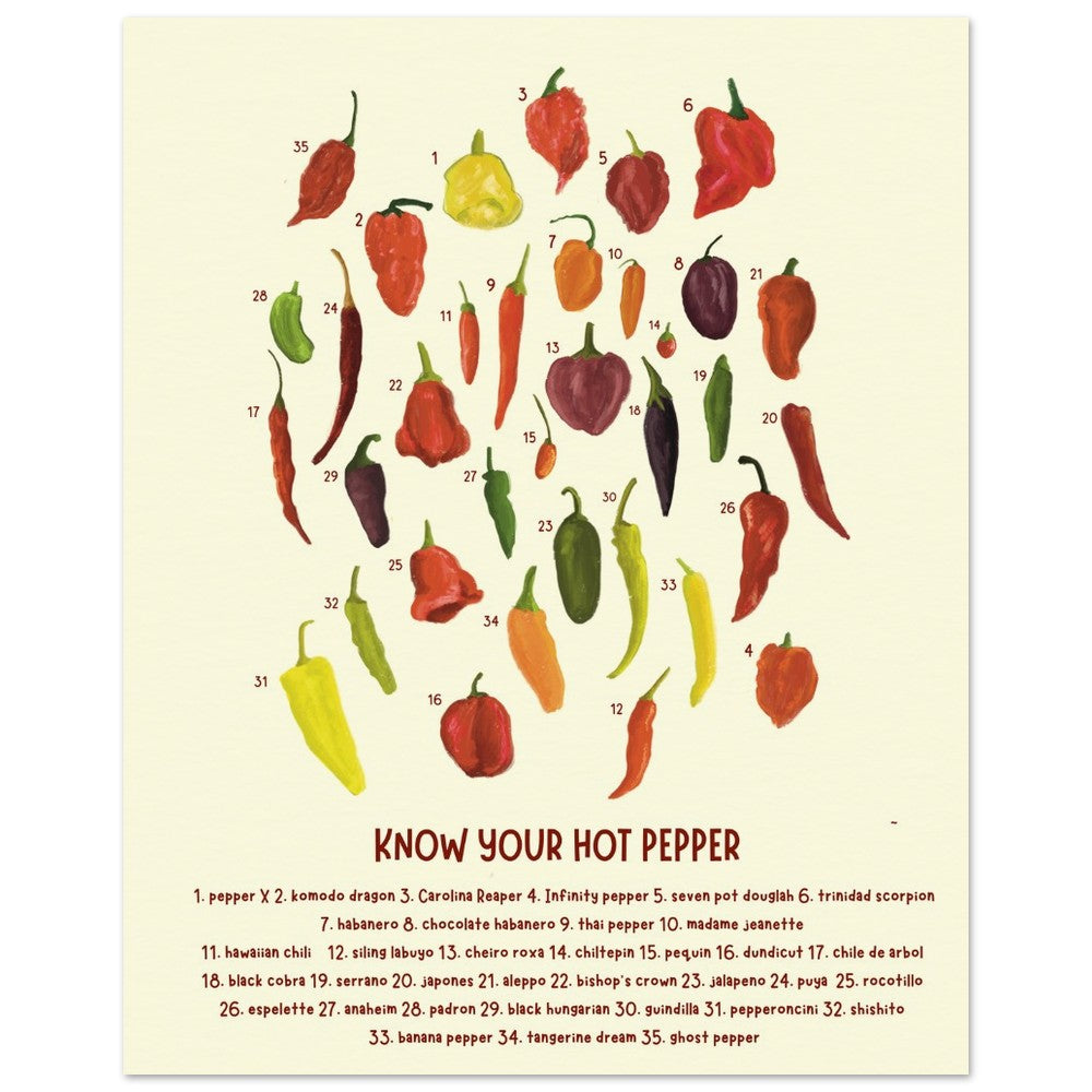 a hot chili pepper chart art print with an assortment of painted chilis are numbered over text that reads &quot;know your hot pepper&quot; with names of the numbered chili peppers